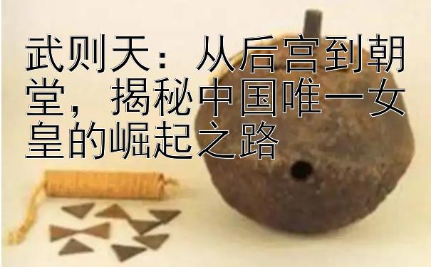 武则天：从后宫到朝堂，揭秘中国唯一女皇的崛起之路