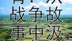 历史战火中的爱国教育：从战争故事中汲取爱国情怀