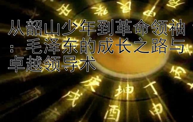 从韶山少年到革命领袖：毛泽东的成长之路与卓越领导术