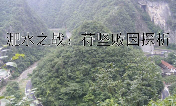 淝水之战：苻坚败因探析