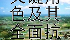 中国共产党在抗日战争中的关键角色及其全面抗战路线的贯彻实施