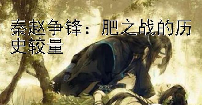 秦赵争锋：肥之战的历史较量