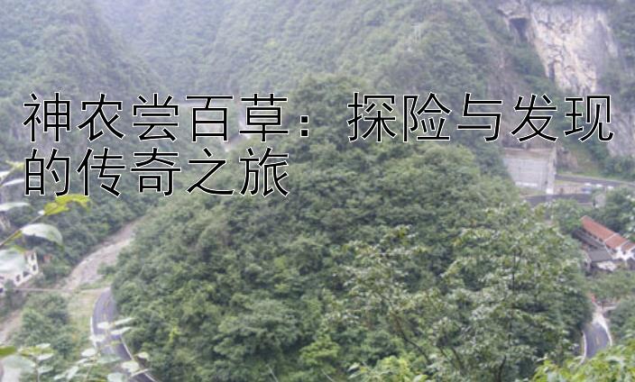 神农尝百草：探险与发现的传奇之旅