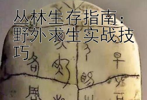 丛林生存指南：野外求生实战技巧