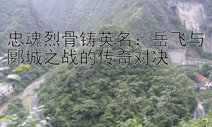 忠魂烈骨铸英名：岳飞与郾城之战的传奇对决