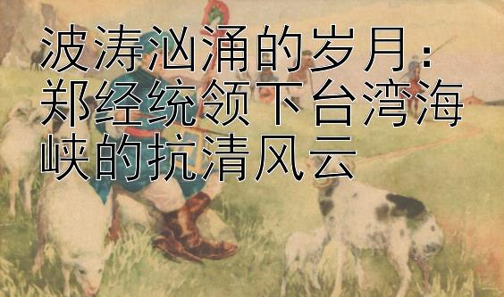 波涛汹涌的岁月：郑经统领下台湾海峡的抗清风云