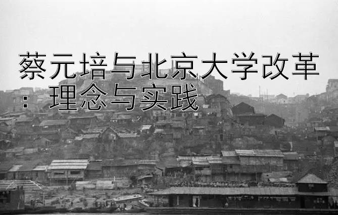 蔡元培与北京大学改革：理念与实践